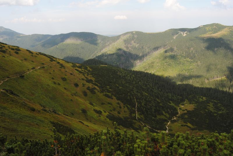 pepajs.cz